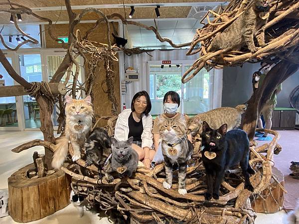 2022-07-03 13.10.33-1.jpg 2022-07-03 13.10.33-1.jpg