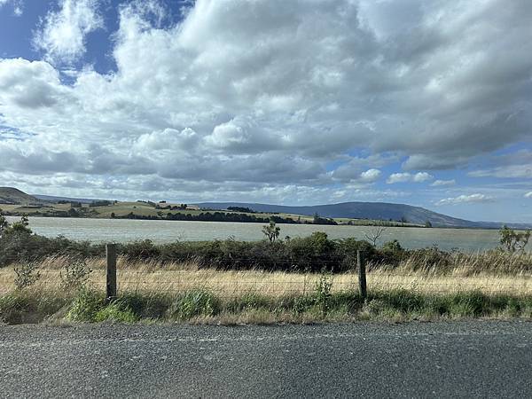 =紐西蘭=南島=PART6=東岸=但尼丁=奧馬魯=信天翁=黃