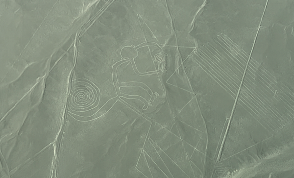 螢幕擷取畫面 2025-10-25 113300_猴子.png