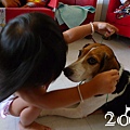 20110801-11.jpg