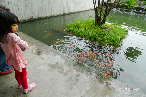 20120924-勝洋水草-02