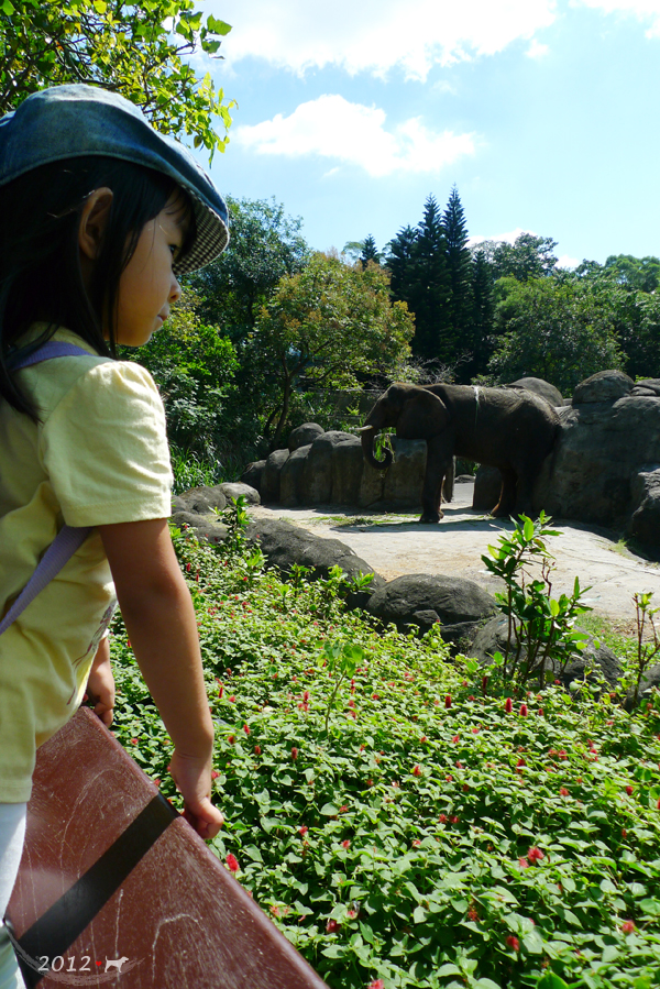 20121003-zoo-10