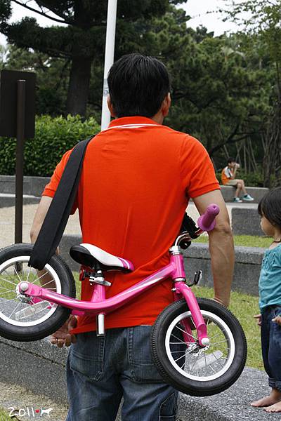 捷安特PUSHBIKE(售出)