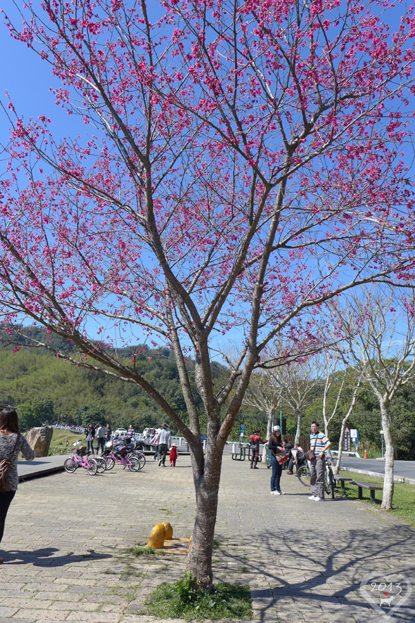 20130212-初三日月潭-11