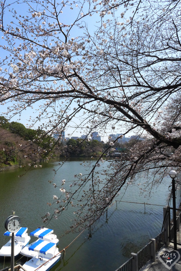 20130319-千鳥ヶ淵緑道-03