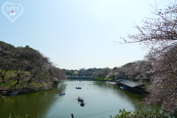 20130319-千鳥ヶ淵緑道-13