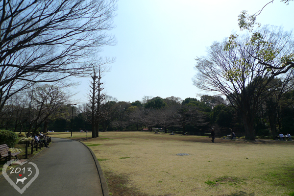 20130319-北之丸-15