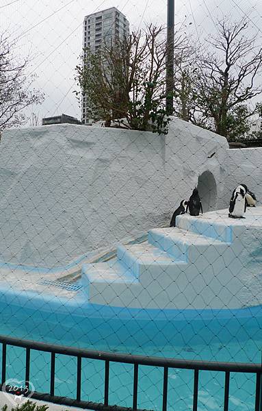 20130320-上野動物園-08