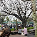 20130320-上野動物園-26