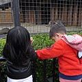 20130320-上野動物園-29