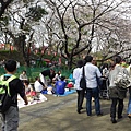 20130320-上野公園-02