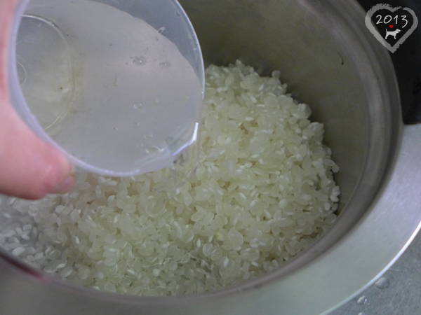 20130428-飯糰-16 20130428-飯糰-16