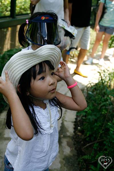 20130804-森林鳥花園-12