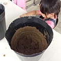 20130825-親子盆秧DIY-10