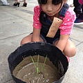 20130825-親子盆秧DIY-15