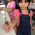 20130825-親子盆秧DIY-11