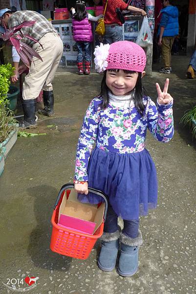 20140216-清香採草莓-03