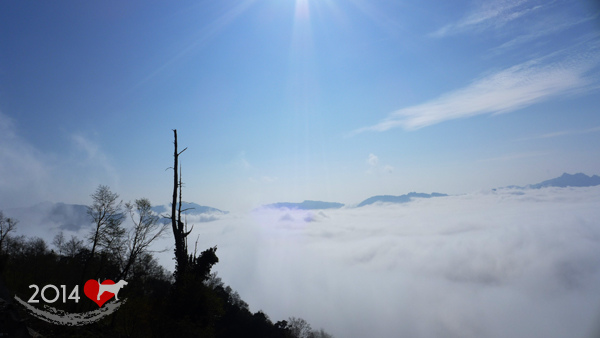 20140321-阿里山-01