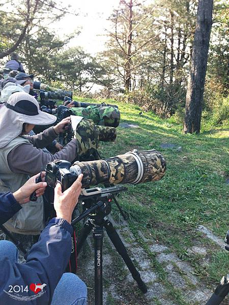 20140321-阿里山-07