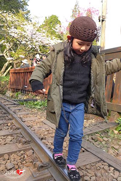 20130323-阿里山園區-05