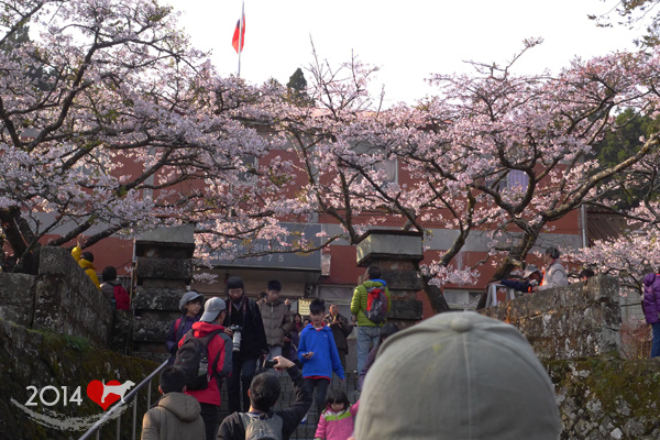 20130323-阿里山園區-04