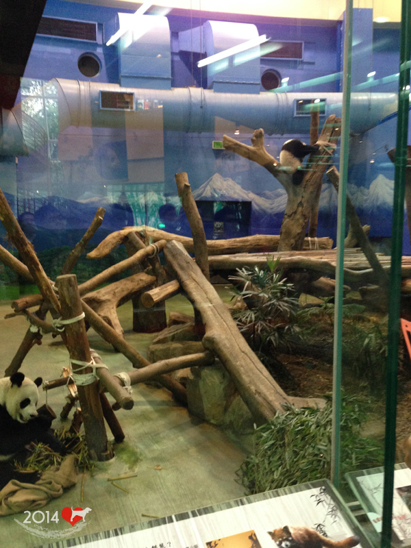 20140507-ZOO-21