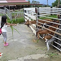 20140609-初鹿牧場-14