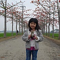 20150325-林初碑木棉道-06.jpg