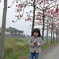 20150325-林初碑木棉道-16.jpg