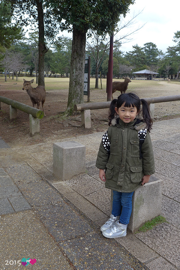 20150309-奈良公園-18.jpg