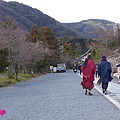 20150310-嵐山景色-10.jpg