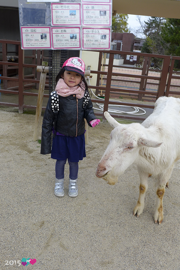 20150311-京都動物園-33.jpg