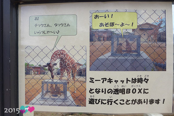 20150311-京都動物園-38.jpg