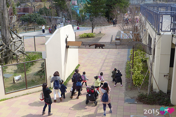 20150311-京都動物園-41.jpg