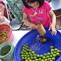 20150502-鶯歌醃梅-05.jpg
