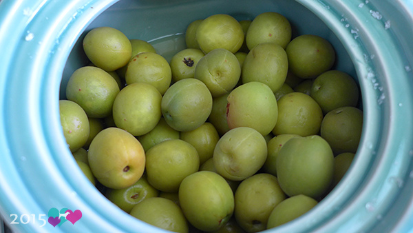 自己做》亲子diy腌梅趣-莺歌陶瓷博物馆2015瓮藏春之梅-腌脆梅活动