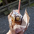 20150312-稻荷神社-21.jpg