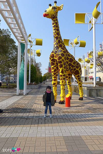 20150313-大阪海遊館-04.jpg