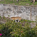 20150314-天王寺動物園-09.jpg
