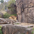 20150314-天王寺動物園-11.jpg