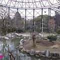 20150314-天王寺動物園-20.jpg