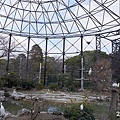 20150314-天王寺動物園-21.jpg