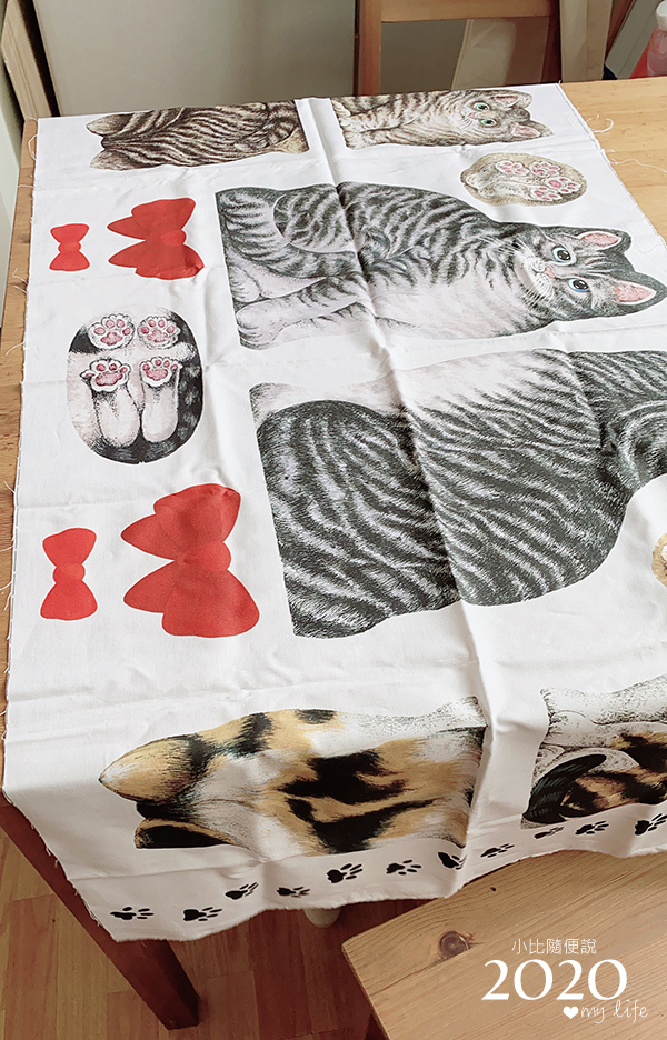 20201027-cat-01.jpg 20201027-cat-01.jpg