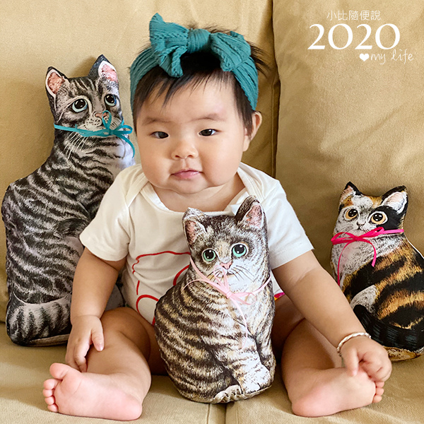 20201027-cat-02.jpg 20201027-cat-02.jpg