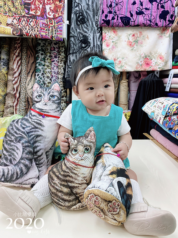 20201027-cat-06.jpg 20201027-cat-06.jpg