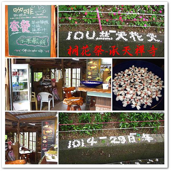 桐花祭承天禪寺 22