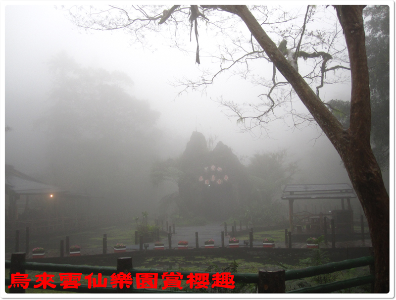 烏來雲仙樂園賞櫻趣 08