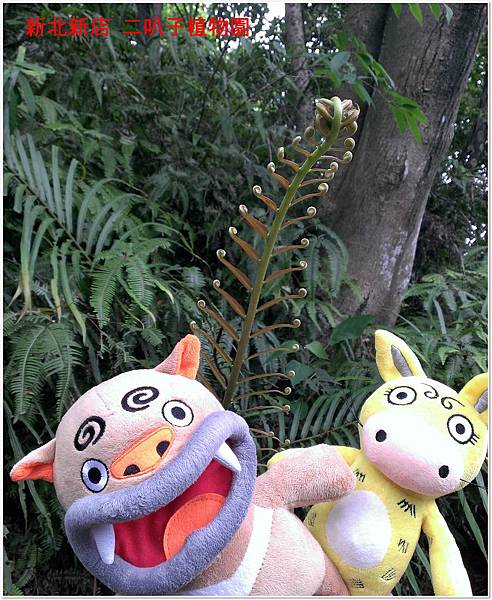 新北新店 二叭子植物園 02