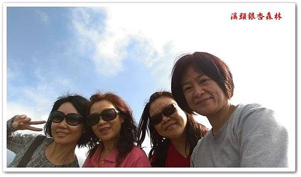 溪頭銀杏森林 16