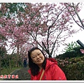 台大茶園 04